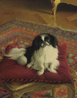 Richard Müller - A Well Behaved Chin