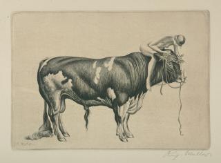 Richard Müller - Die Stärkere.