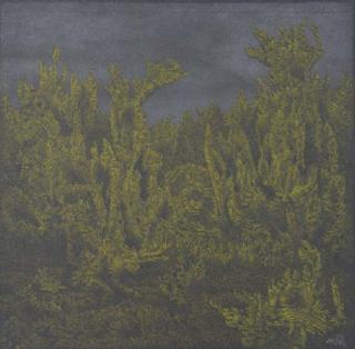 Richard Oelze - Farnlandschaft