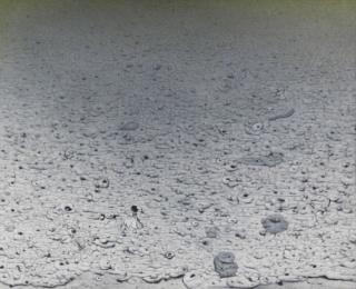 Richard Oelze - Teil einer Ebene (Teil der großen Ebene)