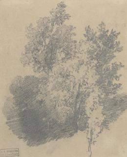 Richard Parkes Bonington - Study Of Trees