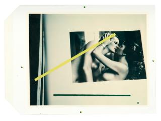 Richard Pettibone - Helmut Newton, \