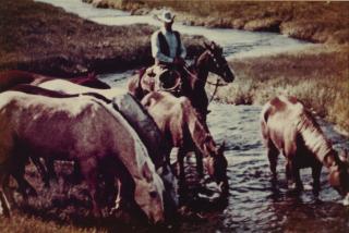 Richard Prince - \'#14 Untitled (Cowboy Watering Horses)\'