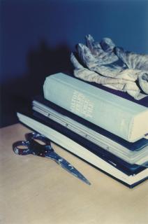 Richard Prince - Untitled (Adult Comedy Action Drama), 1995