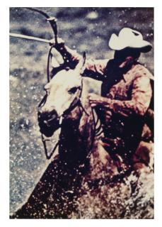 Richard Prince - Untitled (Cowboy)