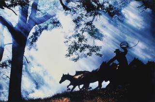 Richard Prince - Untitled (Cowboy)