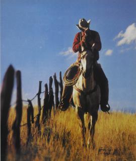 Richard Prince - Untitled (Cowboy)
