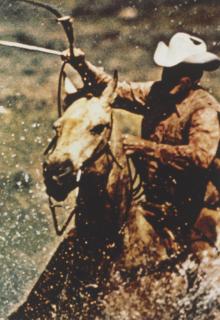 Richard Prince - Untitled (Cowboy)