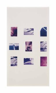 Richard Prince - Untitled (for Catherine Deneuve)