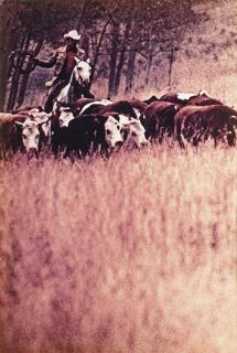 Richard Prince - Untitled (from the series \