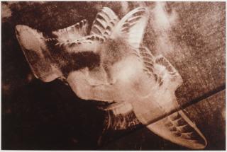 Richard Prince - Untitled (Perfume Containers)