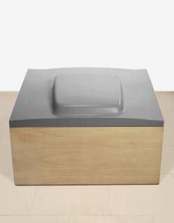 Richard Prince - Untitled (Sb Hood #1)