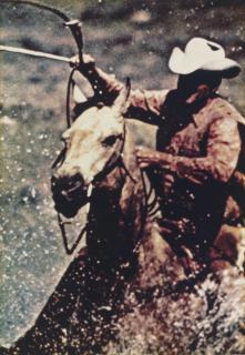 Richard Prince - Untitled