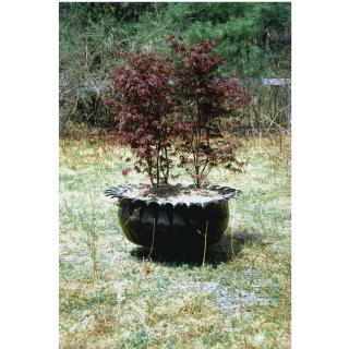 Richard Prince - Upstate, 1995-1999