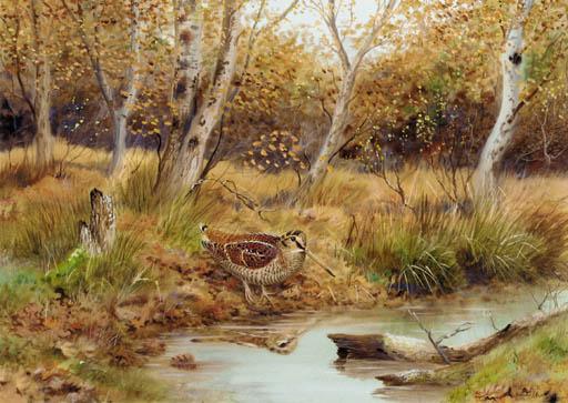 Richard Robjent - A Woodcock In A Wooded Landscape
