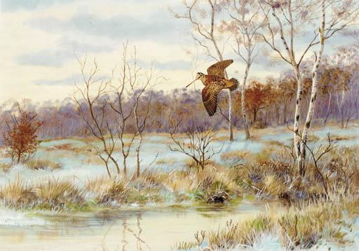 Richard Robjent - A Woodcock In Flight