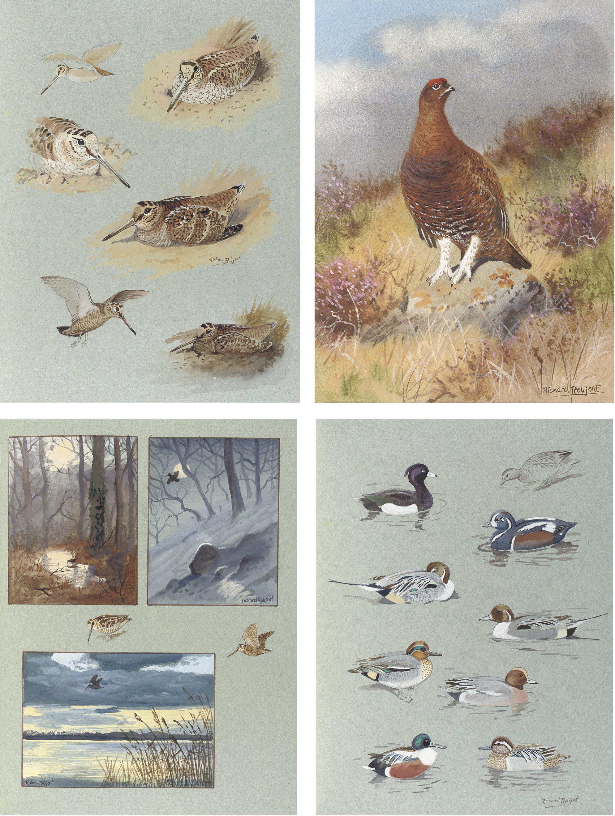 Richard Robjent - An album of watercolours of game birds and wildfowl