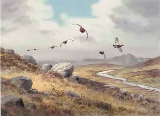 Richard Robjent - Driven Grouse