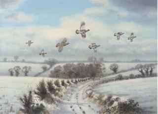 Richard Robjent - Driven Partridge, Winter