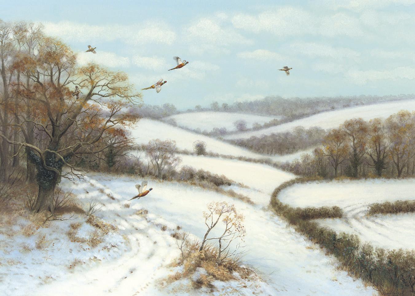 Richard Robjent - Pheasants breaking cover, Winter