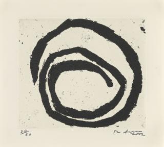 Richard Serra - Venice Notebook 2001