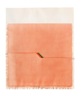 Richard Smith - Skin