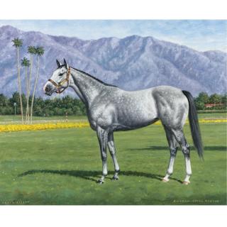 Richard Stone Reeves - American Lady\'S Secret