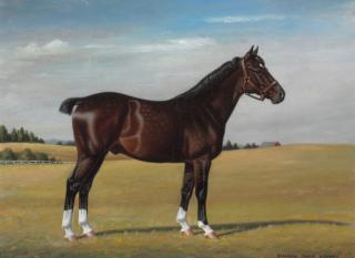 Richard Stone Reeves - Cassilis Masquerader