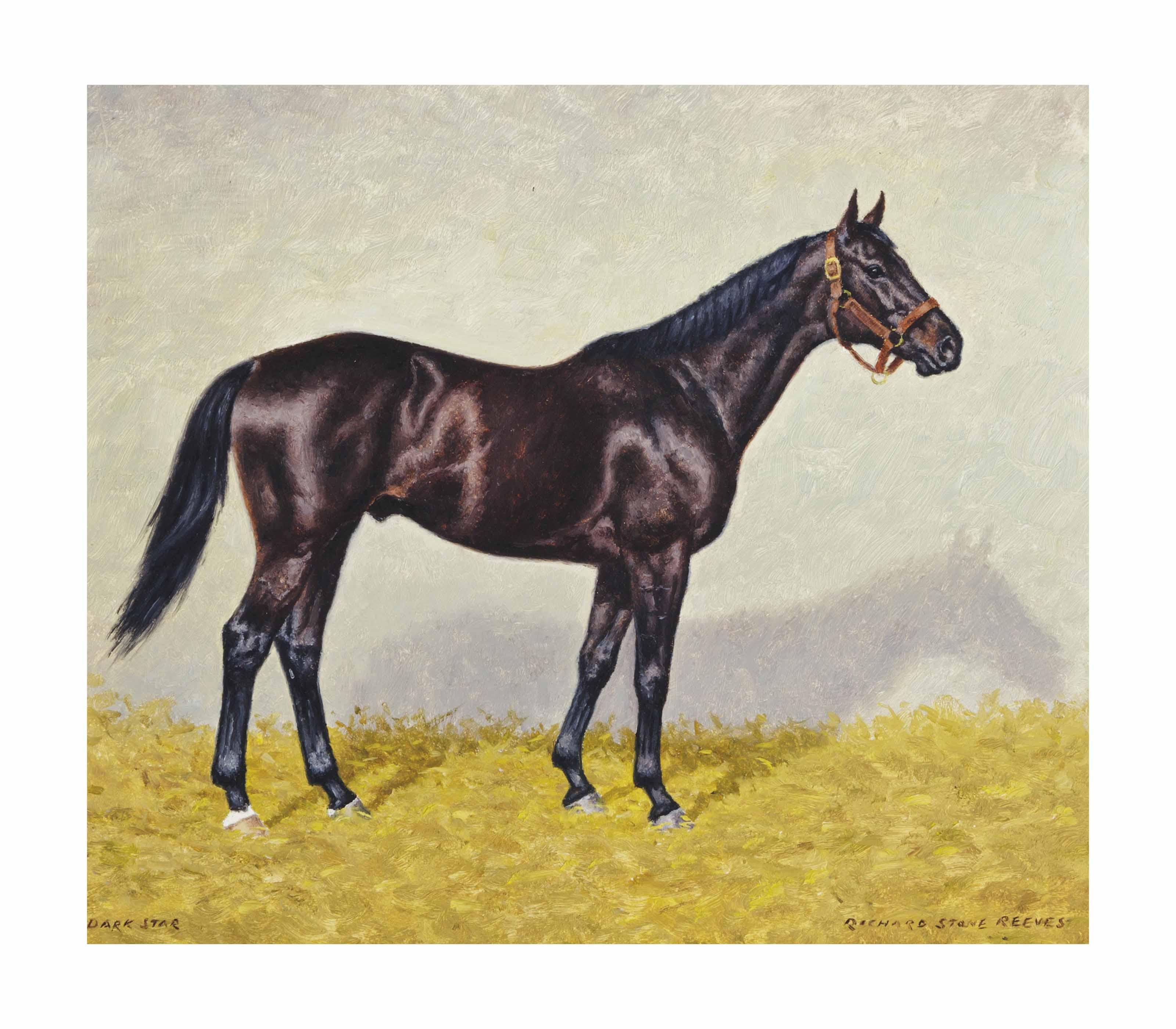 Richard Stone Reeves - Dark Star