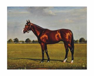 Richard Stone Reeves - Olympia