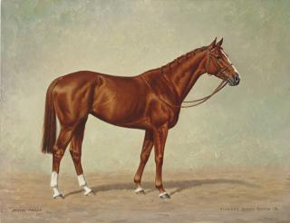 Richard Stone Reeves - Pistol Packer