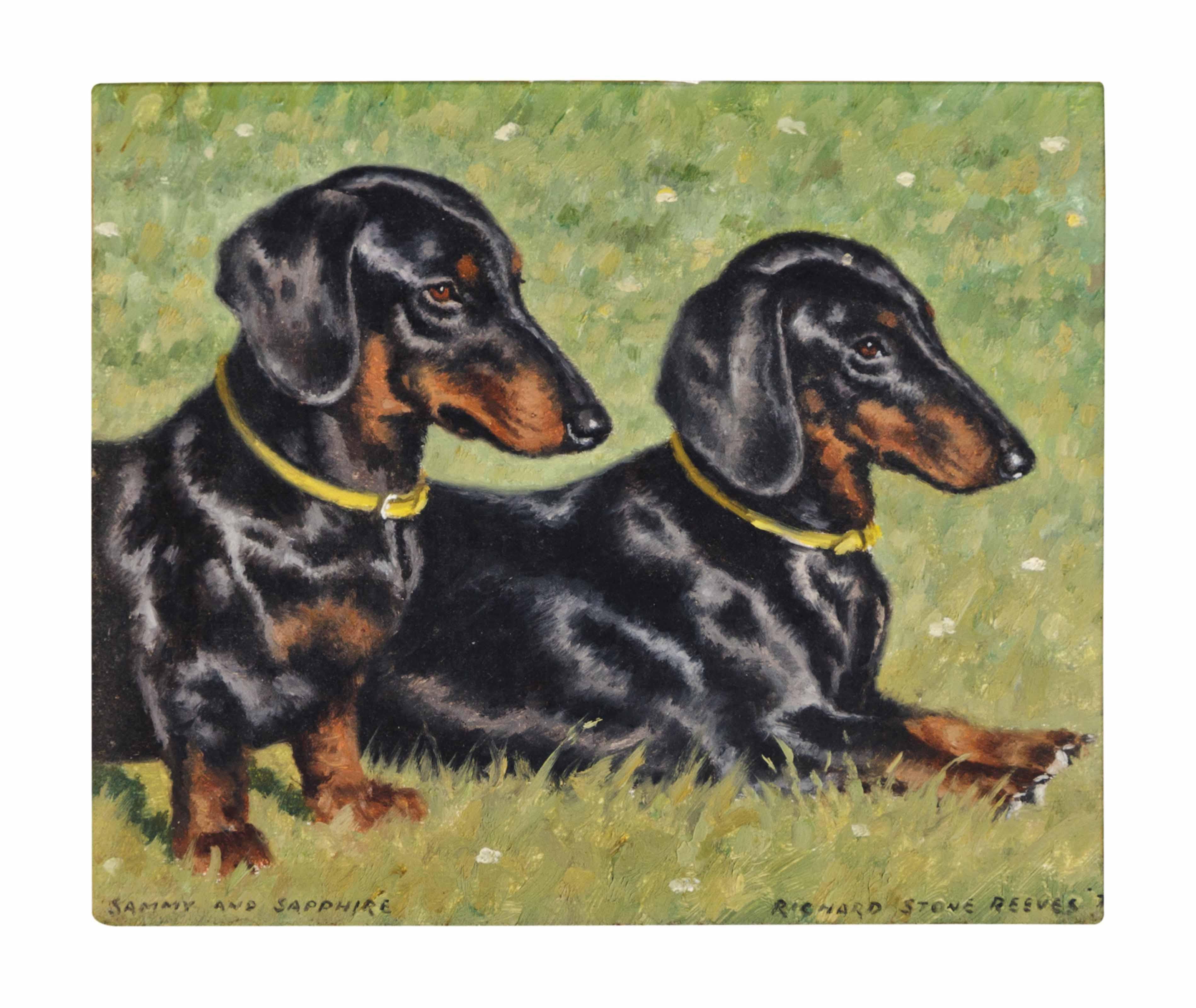 Richard Stone Reeves - Sammy and Sapphire