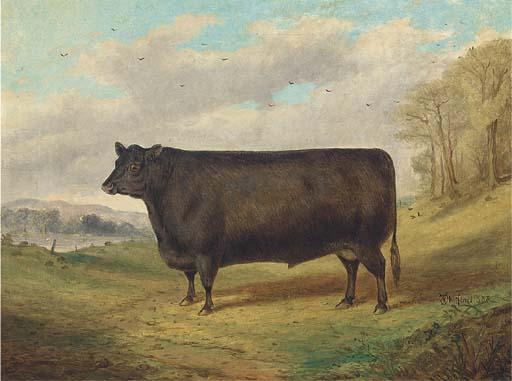 Richard Whitford - A Prize Bull