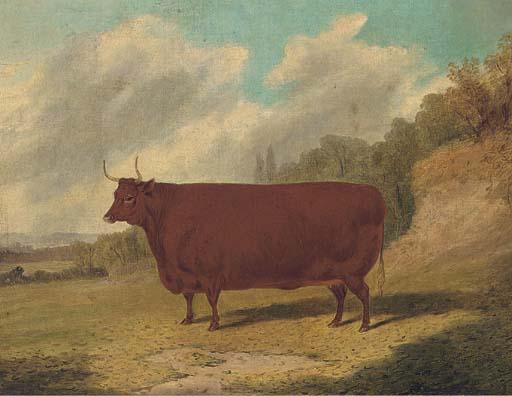 Richard Whitford - A Prize Cow In An Extensive Landscape