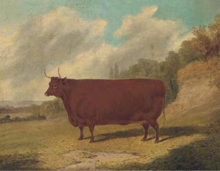 Richard Whitford - A Prize Cow In An Extensive Landscape
