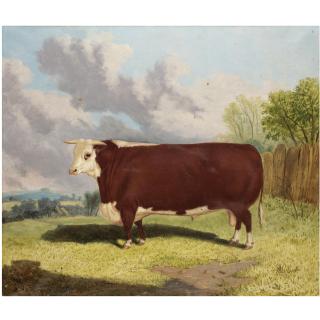 Richard Whitford - British Prize Bull