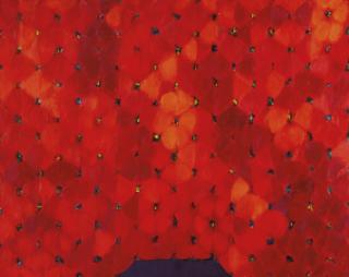 Richmond Burton - Rosette