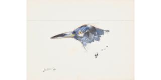 Rick Bartow - Untitled (bird)