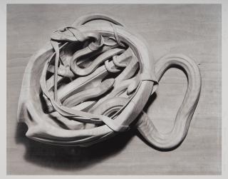 Ricky Swallow - Here Comes The Snakes, 2005