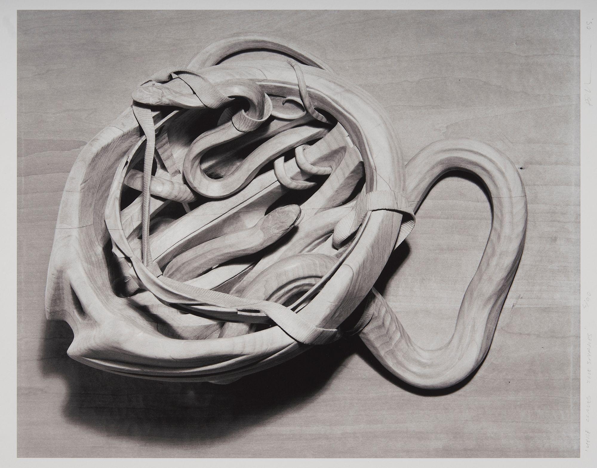 Ricky Swallow - Here Comes The Snakes, 2005,