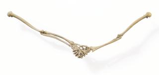 Ricky Swallow - Tusk