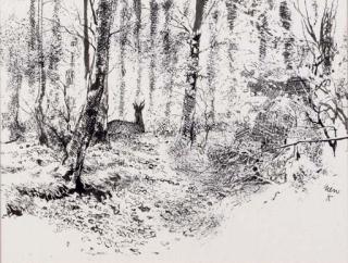 Rien Poortvliet - Deer in the woods