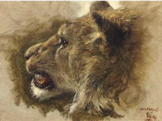 Rien Poortvliet - Lion head