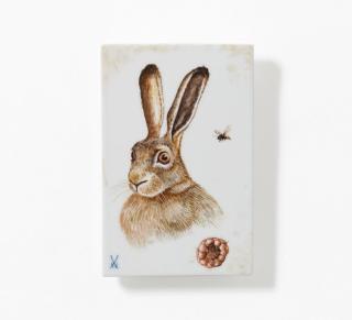 Rigo Schmidt - Hase