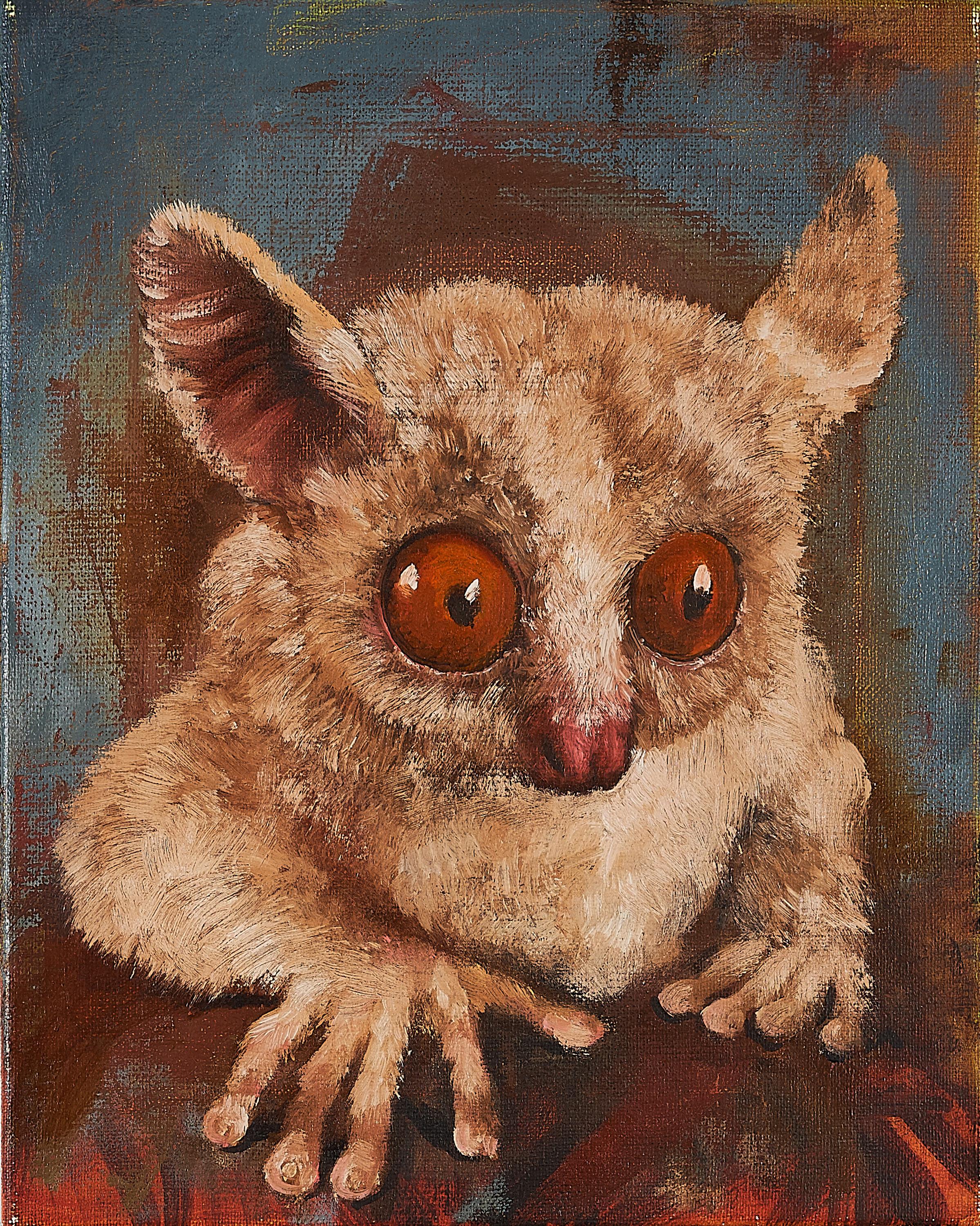 Rigo Schmidt - Koboldmaki.