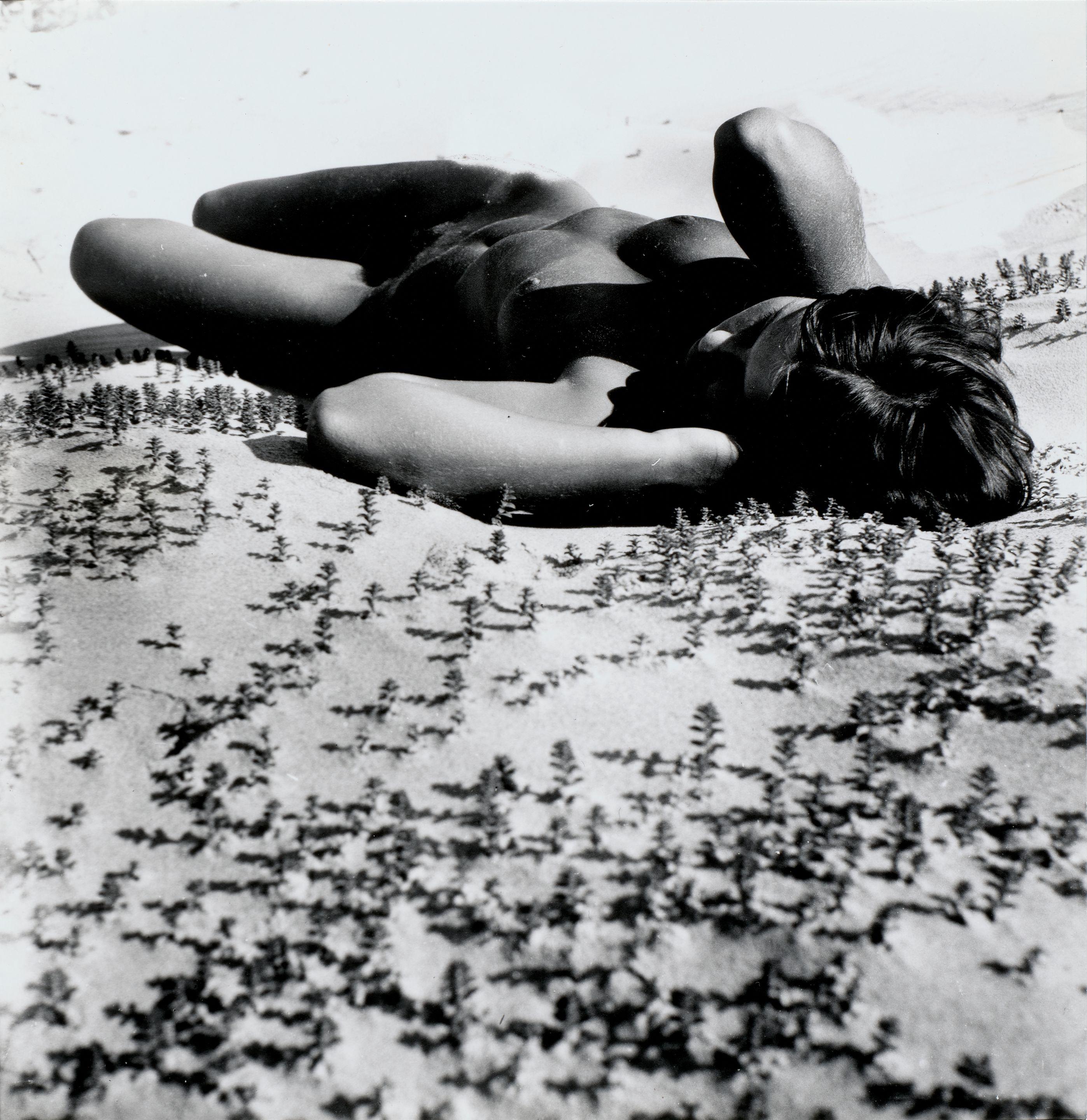 Rimantas Dichavičius - Gulliver