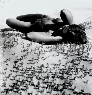 Rimantas Dichavičius - Gulliver