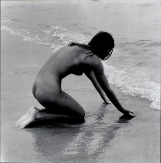 Rimantas Dichavičius - Jūratė