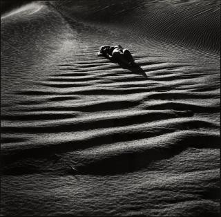 Rimantas Dichavičius - Kopų Ritmai (Dune Rhythms) 2