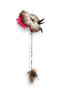 Rina Banerjee - Feathery fountain horn and funy finger nail